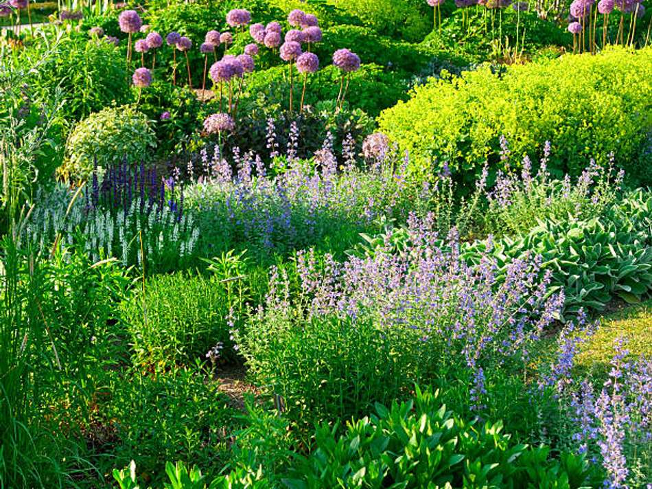 Es gibt nichts schöners 4