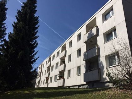 Wohnung Mieten In Bad Steben Immobilienscout24
