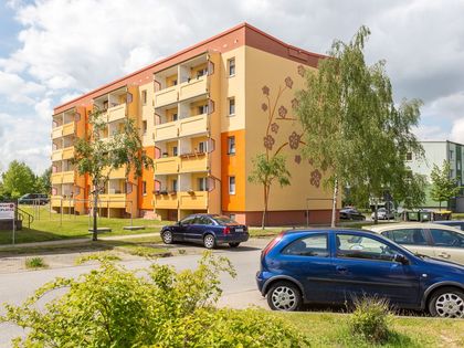 Wohnung Mieten In Gadebusch Immobilienscout24