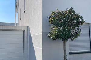 Moderne Doppelhaushälfte mit Kamin, Einbauküche, Garten und Garage in Steinbach (Taunus) – Unter der Weid 7, 61449 Steinbach (Taunus) – Vorschaubild 2