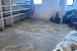 Anwesen in bevorzugter Wohnlage in Merzig zu verkaufen! – 66663 Merzig – Vorschaubild 13