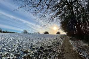 Property thumbnail 19