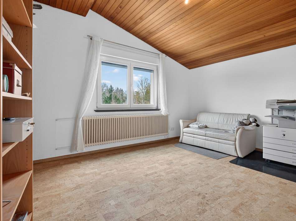 Wohn-/Arbeitszimmer 2