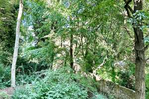 Property thumbnail 18