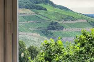 Oberste Hanglage mit Weitblick und Waldzugang: Repräsentatives freistehendes EFH – Mainz-Bingen (Kreis) – Vorschaubild 28