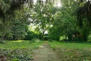 Historisches Anwesen mit Parkgarten: Repräsentatives Raumwunder in Oettingen – 86732 Oettingen in Bayern – Vorschaubild 25