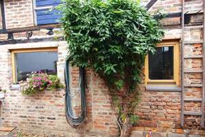 Einfamilienhaus mit Garage in Hainburg, 6 Zimmer von PRIVAT ! Ohne Makler ! – Die vollständige Adresse der Immobilie erhältst du vom Anbieter., 63512 Hainburg – Vorschaubild 5