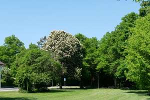 NEU - Beziebare neue 3 Zimmer-Wohnung - absolut ruhiger SW-Lage an einem Park - Nähe U2 – Die vollständige Adresse der Immobilie erhältst du vom Anbieter., 81825 Gartenstadt Trudering, München – Vorschaubild 2
