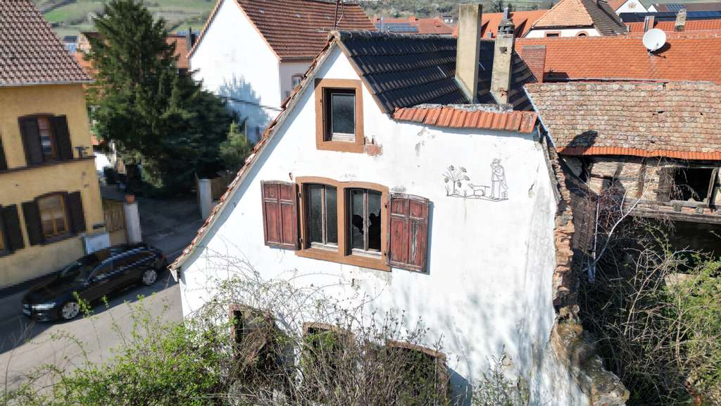 Immobilie in Grünstadt - Sanierung oder Neubau /// 533 m² Grundstück mit Altbestand und gigantischer Scheune - Bild 2