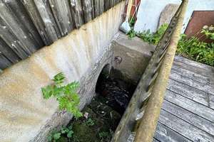 "Interessantes Einfamilienhaus mit großer Werkstatt & Garten in idyllischer Lage - Olbernhau" – Hallbacher Straße 44, 9526 Pfaffroda – Vorschaubild 4