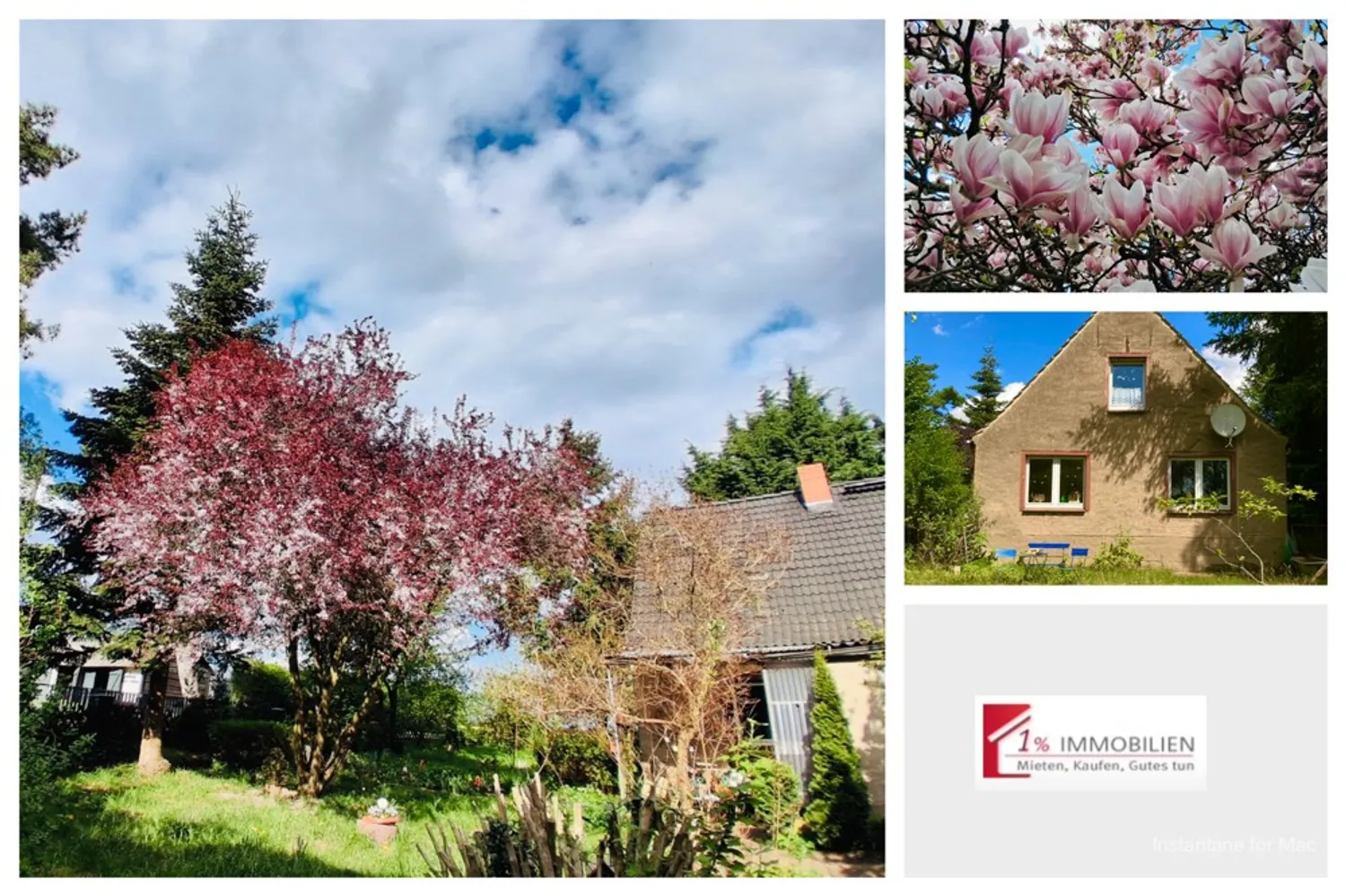 Selbstnutzung und/oder Kapitalanlage - 2 Häuser - riesiges Grundstüc -Nähe der Ostsee und Greifswald, Vorpommern Greifswald Kreis – Bild 1