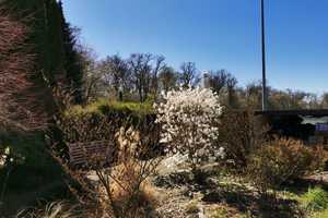 Sehr schönes großes EFH mit tollem Garten und einer Gewerbeeinheit (zur Zeit vermietet) – Marbacher Weg ?, 74231 Ludwigsburg (Kreis) – Vorschaubild 8