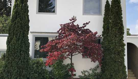 Bild von Attraktives Wohnhaus in Hannover-Ricklingen: flexibel nutzbar als Ein- bis Drei-Familienhaus