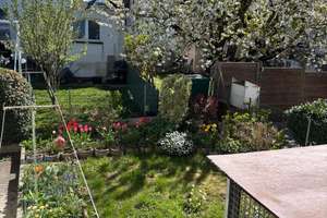 Handwerker aufgepasst! Einfamilienhaus mit Potential in Ludwigshafen-Oppau/Bieterverfahren ab 200000 – Die vollständige Adresse der Immobilie erhältst du vom Anbieter., 67069 Oppau, Ludwigshafen am Rhein – Vorschaubild 13