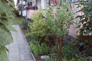 Property thumbnail 19