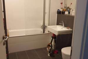Tolle, hochwertige 2 Zimmer - Wohnung mit Parkett, Terrasse & Garten • Frankenberger - Höfe – In den Kronprinzengärten 6, 52068 Frankenberg, Aachen – Vorschaubild 7