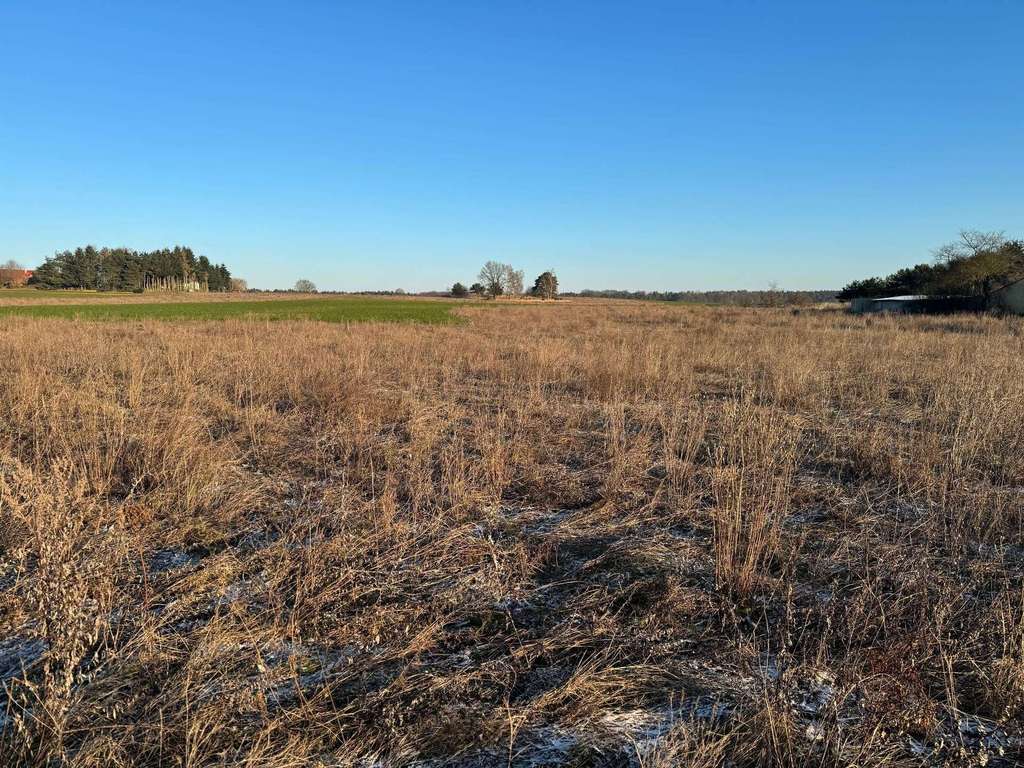 Immobilie in Wiesenburg/Mark - Energieeffizient und elegant - Ihr Eigenheim im Herzen von Wiesenburg / Preis zzgl. Grundstück - Bild 2