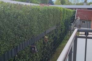 PRIVATVERKAUF! Lichtdurchflutetes Raumwunder mit privatem Garten & Master-Bedroom – Ruhig & Zentral! – Kurt-Schumacher- Str. 39, 33102 Kernstadt, Paderborn – Vorschaubild 16