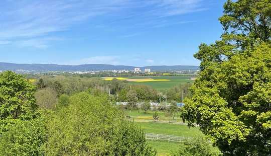 Bild von Doppelhaushälfte mit Einliegerwohnung und Blick auf die Niddawiesen und Taunus
