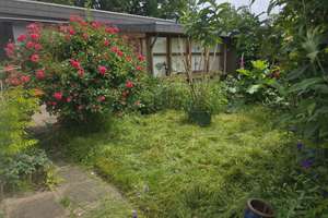 Zuhause mit 4 Zimmern in Kappeln im Reihenbungalow 2 Gehminuten vom Wasser! – 24376 Kappeln – Vorschaubild 4