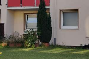 2-Zimmer-Erdgeschoßwohnung mit kleiner Terasse in Osnabrück-Eversburg – Die vollständige Adresse der Immobilie erhältst du vom Anbieter., 49090 Eversburg, Osnabrück – Vorschaubild 2