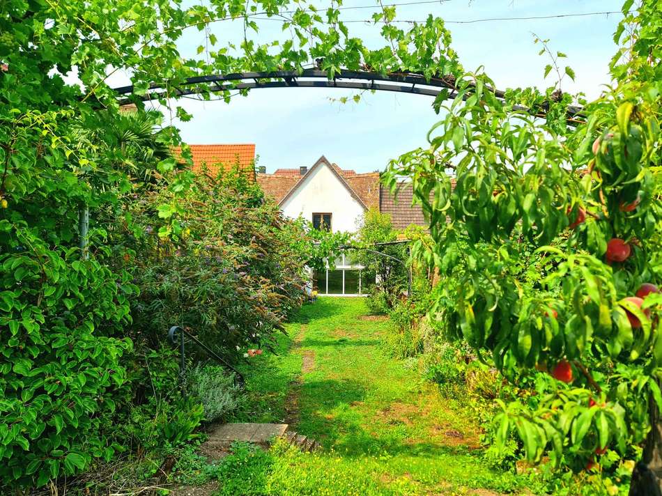 Gartenseite