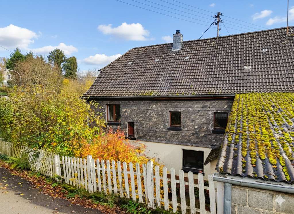 Immobilie in Michelbach - Ehemaliges Bauernhaus mit Scheune und Stall nahe Altenkirchen. 25.000 m² Weideland möglich! - Bild 2