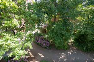 Property thumbnail 12