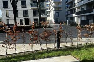 Zwei Zimmer in Düsseldorf: Urban wohnen in Heerdt