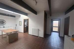 Schöner Bungalow in Sülfeld – Goldregenweg 3, 38442 Sülfeld, Wolfsburg – Vorschaubild 4