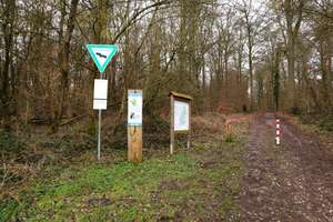 Frechen-Kleinkönigsdorf:  S-Bahn, Sauna, Schrittnah zum Wald!  4-5 Zimmer  Wohlfühl-Charakterhaus! – Die vollständige Adresse der Immobilie erhältst du vom Anbieter., 50226 Frechen – Vorschaubild 25