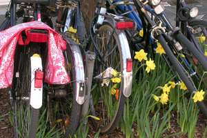 PROMENADENLAGE im X-Viertel