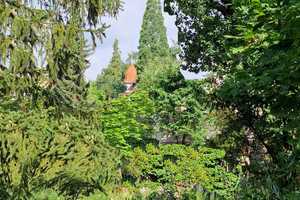 Ruhig und behütet: freist. Haus in der Villenkolonie-Eberstadt kaufen – Die vollständige Adresse der Immobilie erhältst du vom Anbieter., 64297 Eberstadt, Darmstadt – Vorschaubild 4