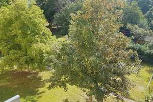 In gepflegter Wohnanlage* 2-Zimmer mit SW-Balkon, Tageslichtbad  zum selbst renovieren! – Berchtesgadener Straße 47, 1279 Laubegast, Dresden – Vorschaubild 15