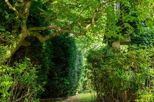 Repräsentative Villa mit großzügigem Garten und Pool ! Gelegen in ruhiger Lage von Alt-Meererbusch  – Die vollständige Adresse der Immobilie erhältst du vom Anbieter., 40667 Meerbusch – Vorschaubild 16