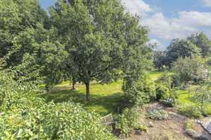 Zuhause mit Garten, 2 Garagen und 2 Freistellplätzen in naturnaher Lage – Steinburg (Kreis) – Vorschaubild 12