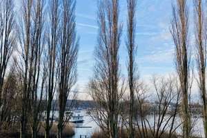 Property thumbnail 35