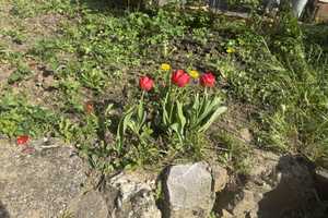 * Kapitalanlage * Mehrfamilienhaus * in Niedernhausen-Niederseelbach! – Rheingau-Taunus-Kreis – Vorschaubild 28