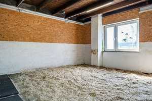 Top Angebot - Pferdehof mit Reitplatz, Halle, Scheune und Landhaus – Aurich (Kreis) – Vorschaubild 16