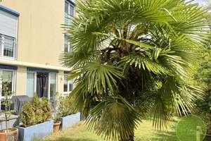 ** FamilyDREAM * Haus zur MIETE * 6 + 1 Zimmer * priv. Garten * Garage * Nürnberger Westen ** – Die vollständige Adresse der Immobilie erhältst du vom Anbieter., 90431 Gaismannshof, Nürnberg – Vorschaubild 24