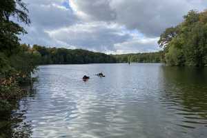 Ruhig. Schön. Schick. Schlachtensee ca. 200 m. Ein Reiheneckhaus für Mama & Papa & Kinder im Grünen – Berlin – Vorschaubild 22