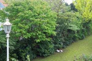 Property thumbnail 11