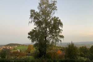 Kraftort mit Weitblick, Alleinlage mit Talblick, Pferdeställe und Reitplatz – Rems-Murr-Kreis – Vorschaubild 12