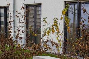 Luxuriöse 3-Zimmer Erdgeschosswohnung mit Garten in Köln-Müngersdorf / Park Linné – Hildegard von Bingen Allee 13, 50933 Braunsfeld, Köln – Vorschaubild 7