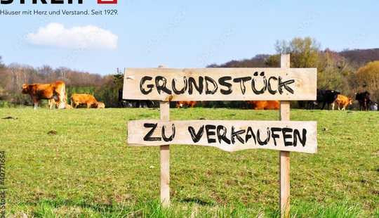 Bild von  -Baugrundstück in 38165 Lehre