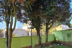 Attraktive Gelegenheit: Freistehendes Einfamilienhaus in begehrter Lage von Mainz-Hechtsheim – Peter-Weyer-Straße 22, 55129 Hechtsheim, Mainz – Vorschaubild 14