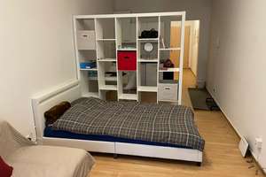 möbilierte 1 Zimmerwohnung Ma-Quadraten – U 4, 23, 68161 Innenstadt/Jungbusch, Mannheim – Vorschaubild 8