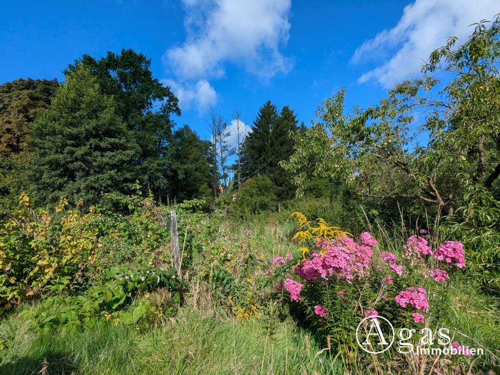Immobilie in Biesenthal - Schmuckstück im Dornröschenschlaf: Einfamilienhaus mit Einliegerwohnung + Nebengelass in Biesenthal - Bild 4