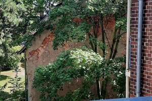 Sommeraktion: 2 Kaltmieten geschenkt! * Schicke großzügige 2-Raum Wohnung * – Ostheimstraße 2A, 4328 Sellerhausen-Stünz, Leipzig – Vorschaubild 8