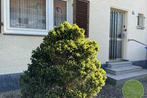 ** EIN-familienhaus Traum ** 5 Zimmer ** ca. 311 qm Grundstück ** Garten mit altem Baumbestand ** – Marloffsteiner Straße 82, 90411 Nürnberg – Vorschaubild 3